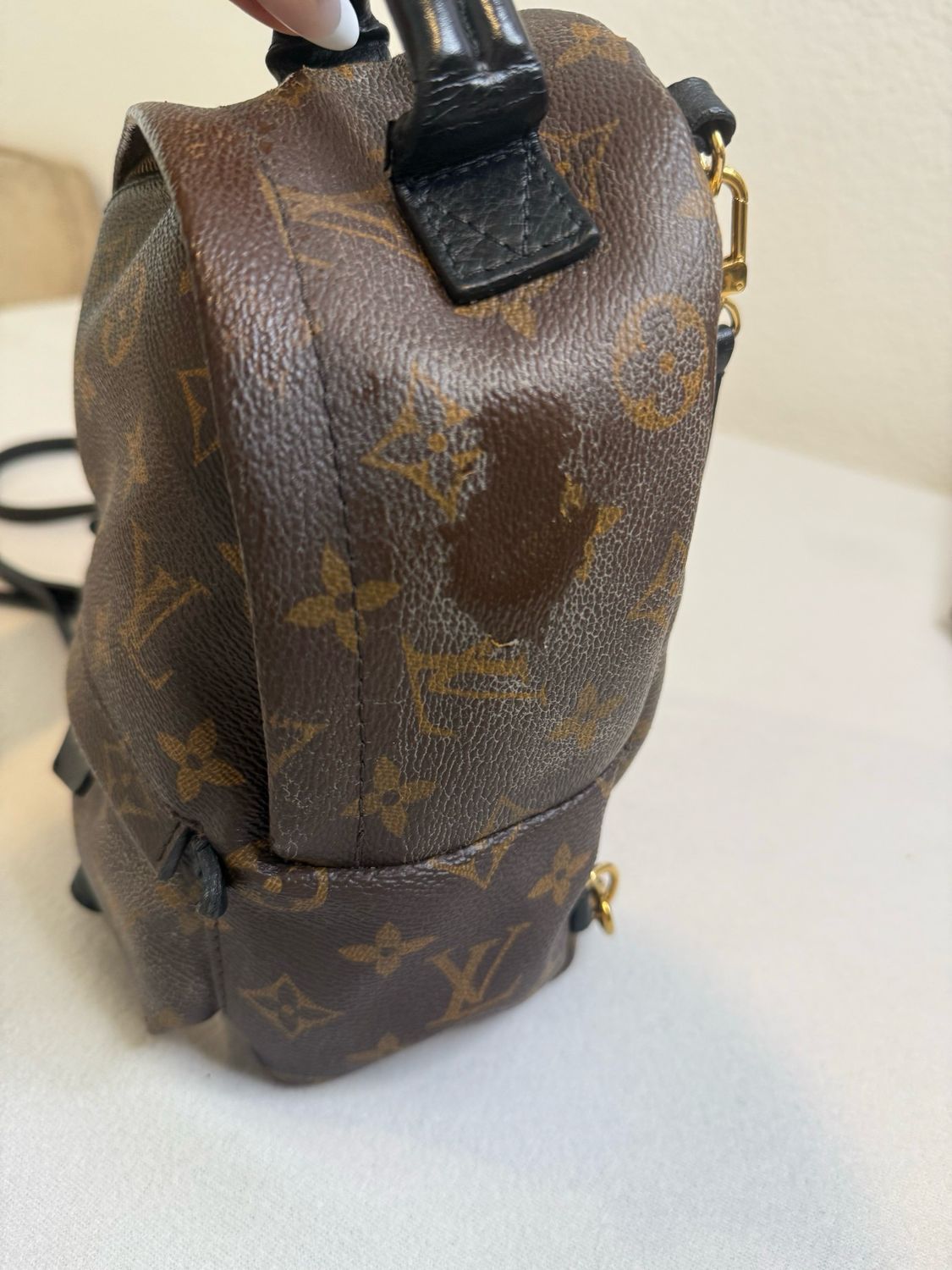 Louis Vuitton Monogram Palm Springs Mini Backpack Sling