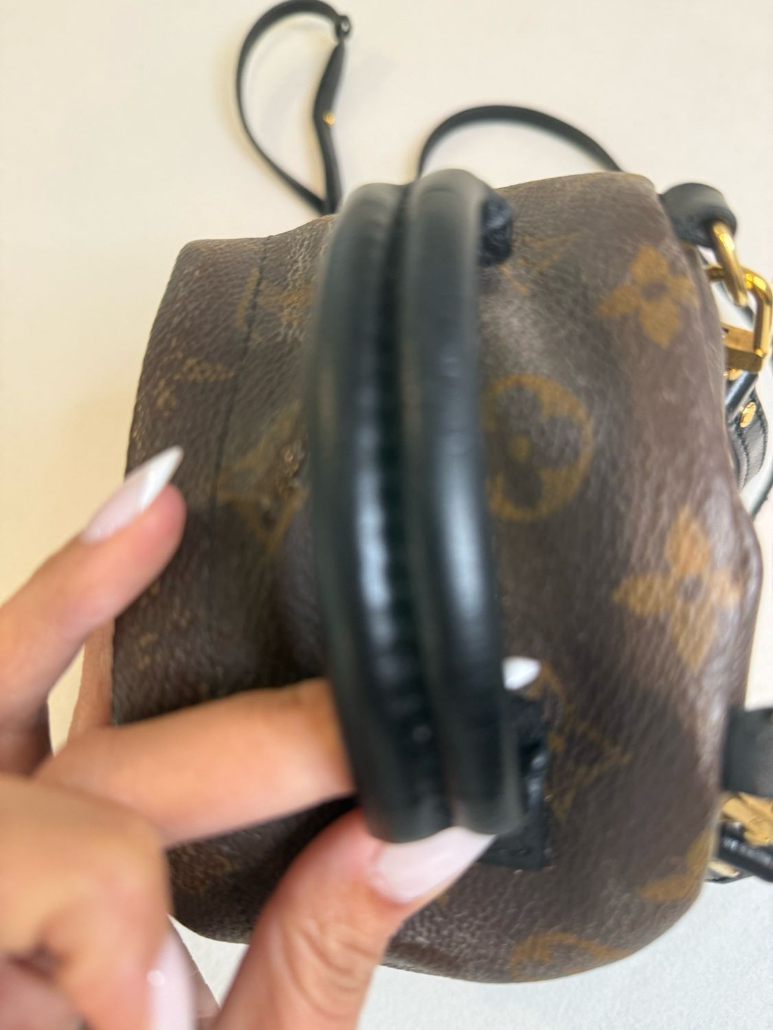 Louis Vuitton Monogram Palm Springs Mini Backpack Sling