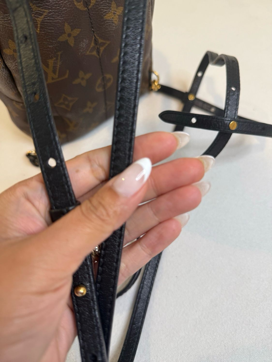 Louis Vuitton Monogram Palm Springs Mini Backpack Sling