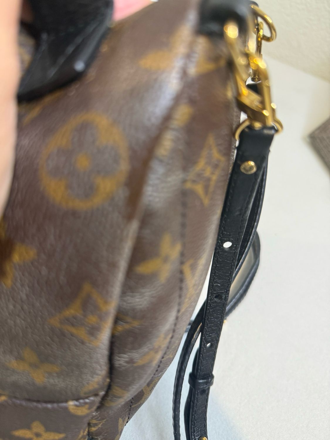 Louis Vuitton Monogram Palm Springs Mini Backpack Sling