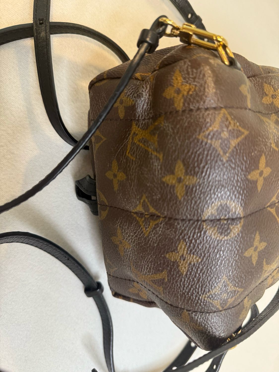 Louis Vuitton Monogram Palm Springs Mini Backpack Sling