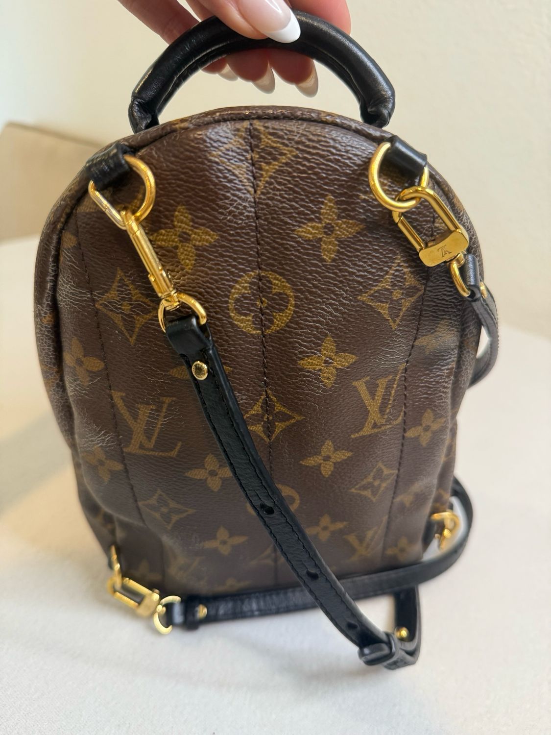Louis Vuitton Monogram Palm Springs Mini Backpack Sling