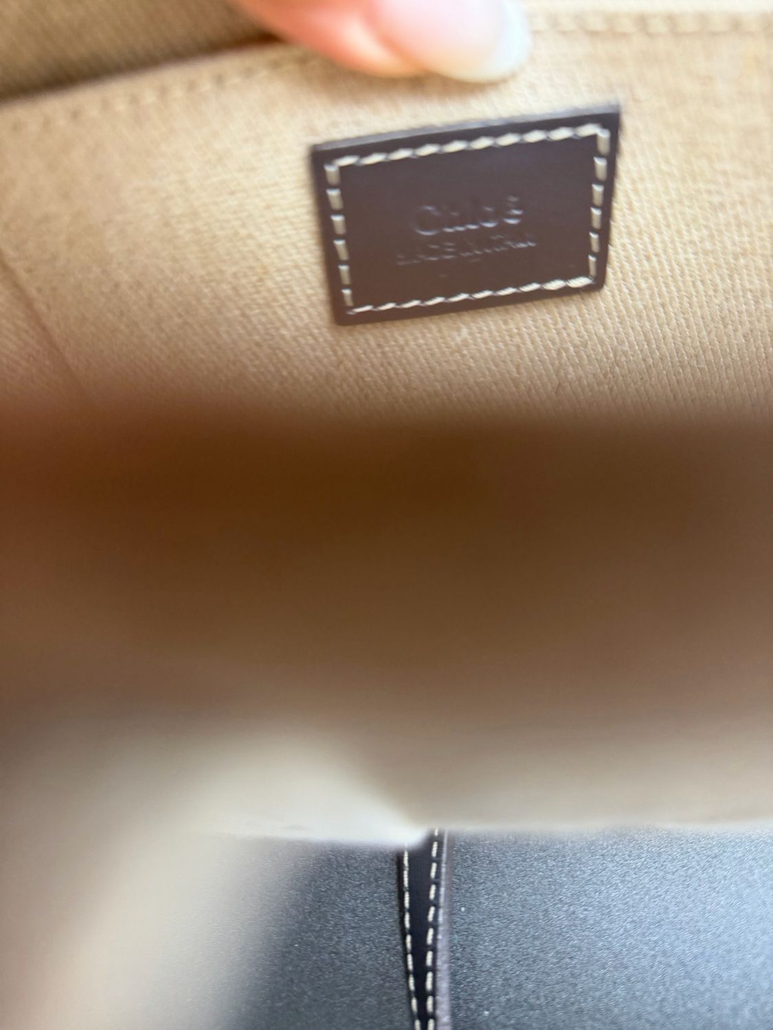 Chloe Mini Woody Messenger Crossbody Sling