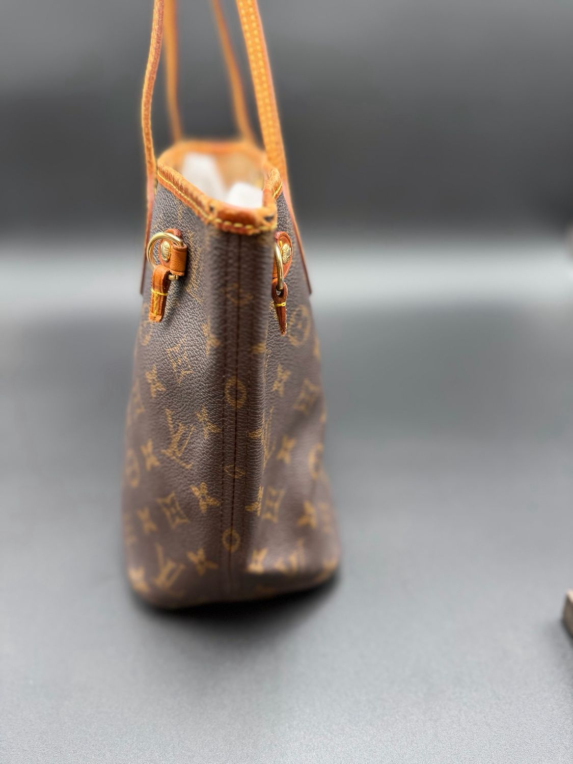 Louis Vuitton Monogram Neverfull Pm Tote Project