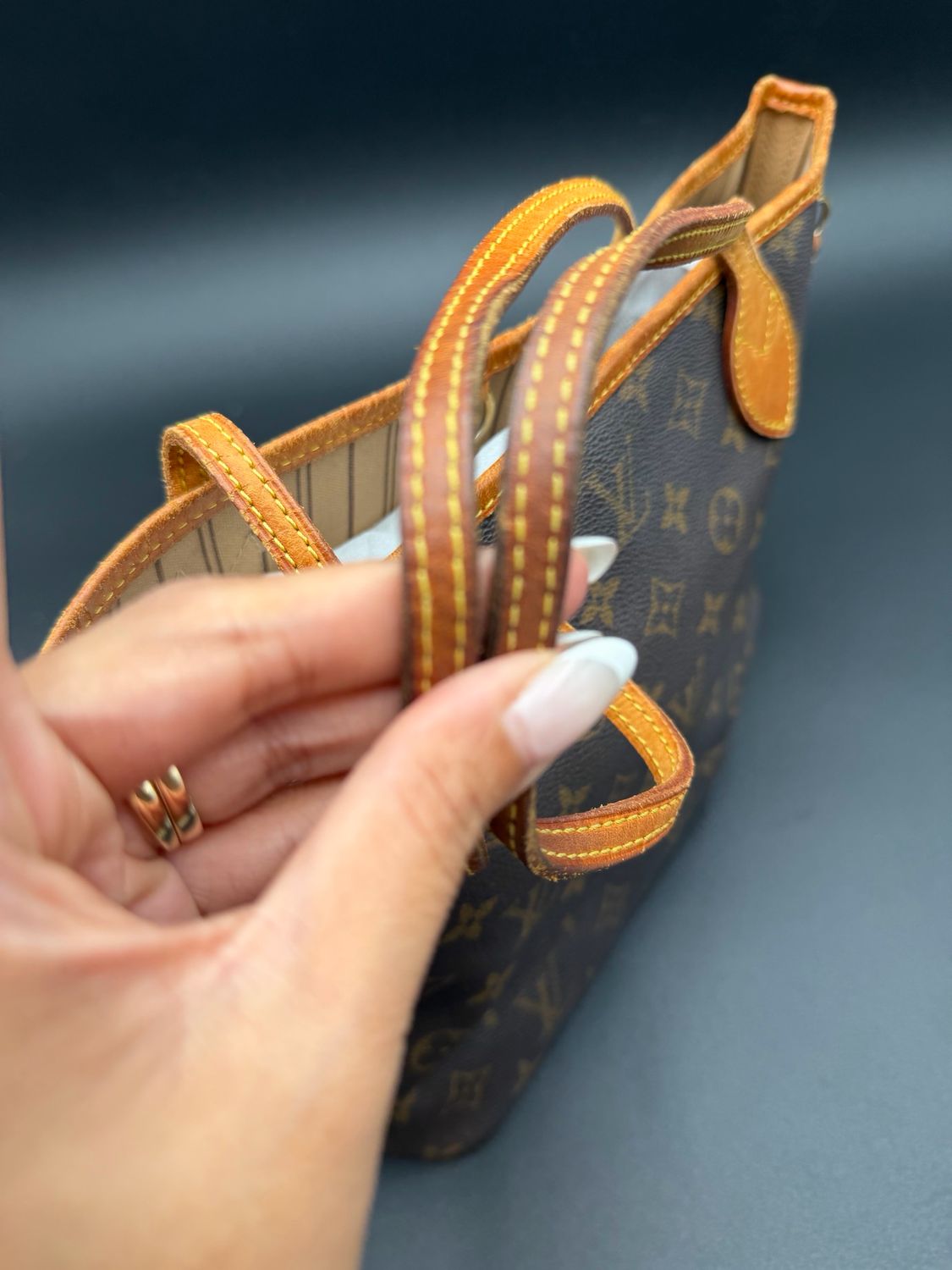 Louis Vuitton Monogram Neverfull Pm Tote Project