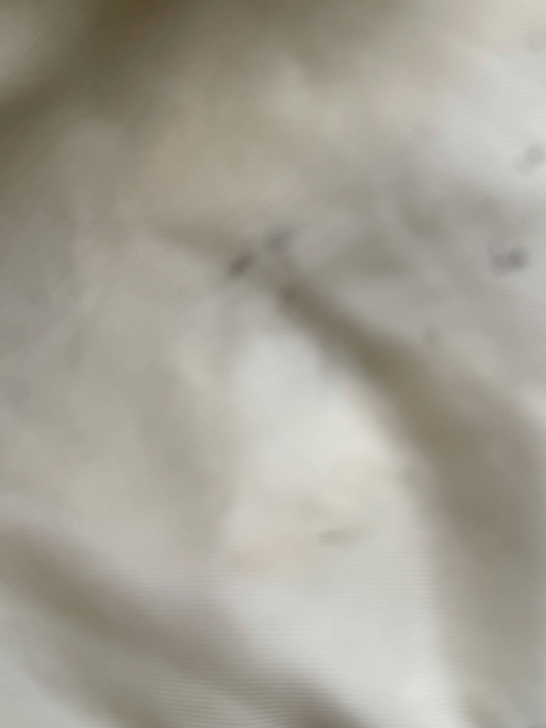 Prada Nylon Backpack Tessuto Ivory Cream