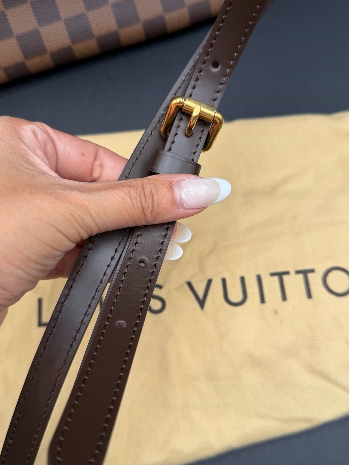 Louis Vuitton Damier Ebene Cabas Roseberry Tote Shoulder