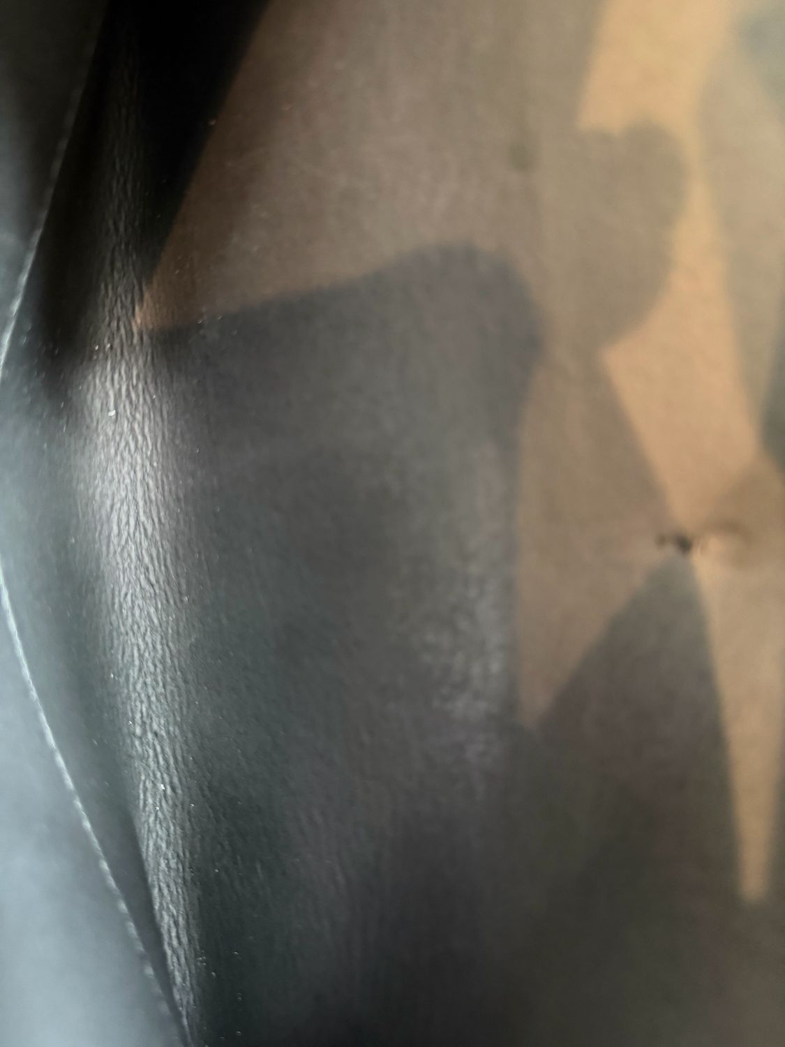 Burberry Black Leather Waist Bag Beltbag