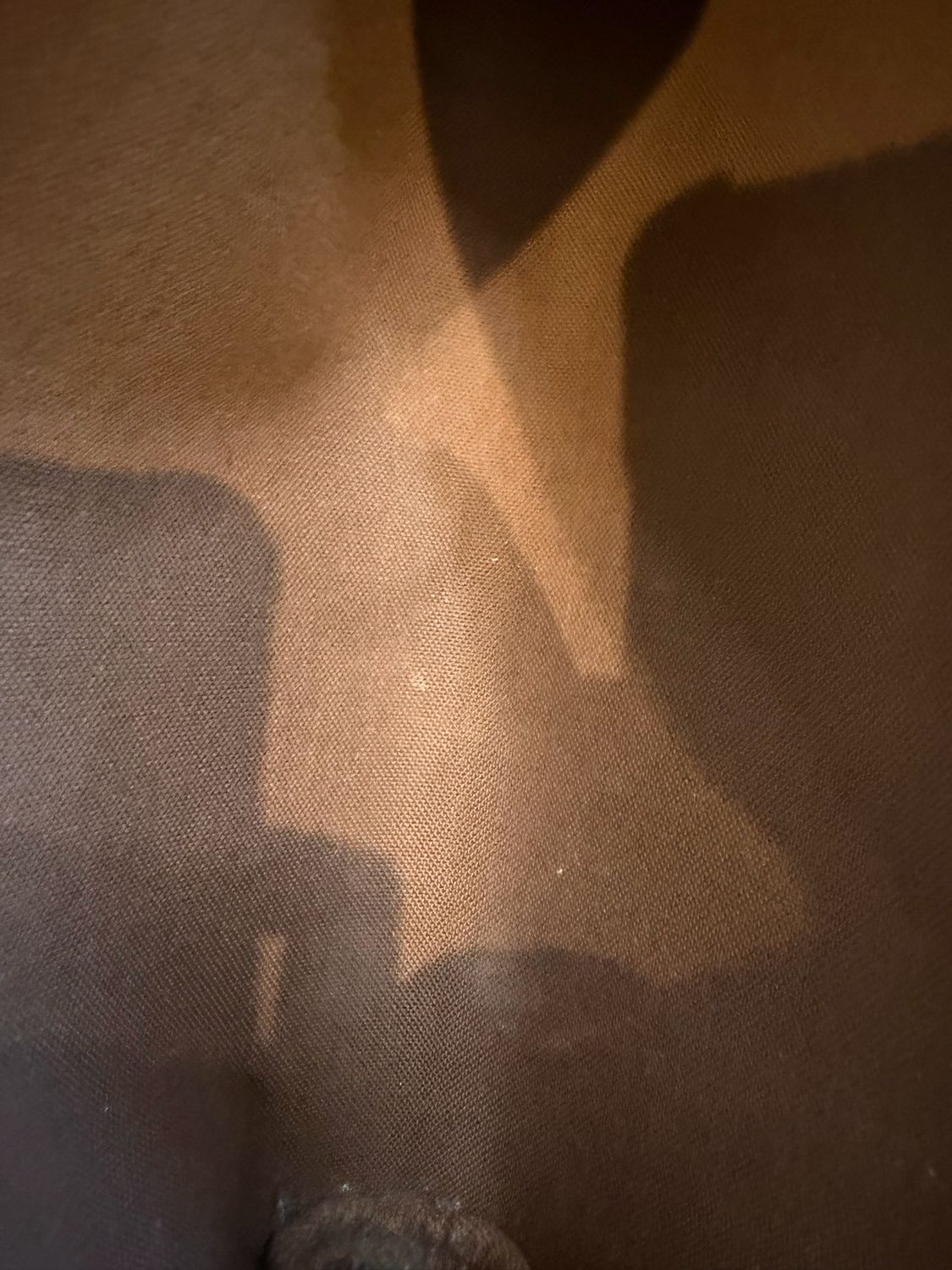 Louis Vuitton Monogram Eva Clutch Crossbody Messenger 