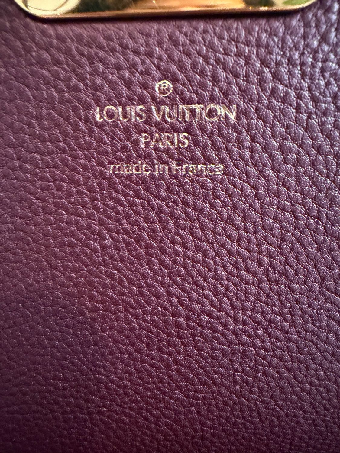 Louis Vuitton Monogram Canvas Eden Shoulder Bag