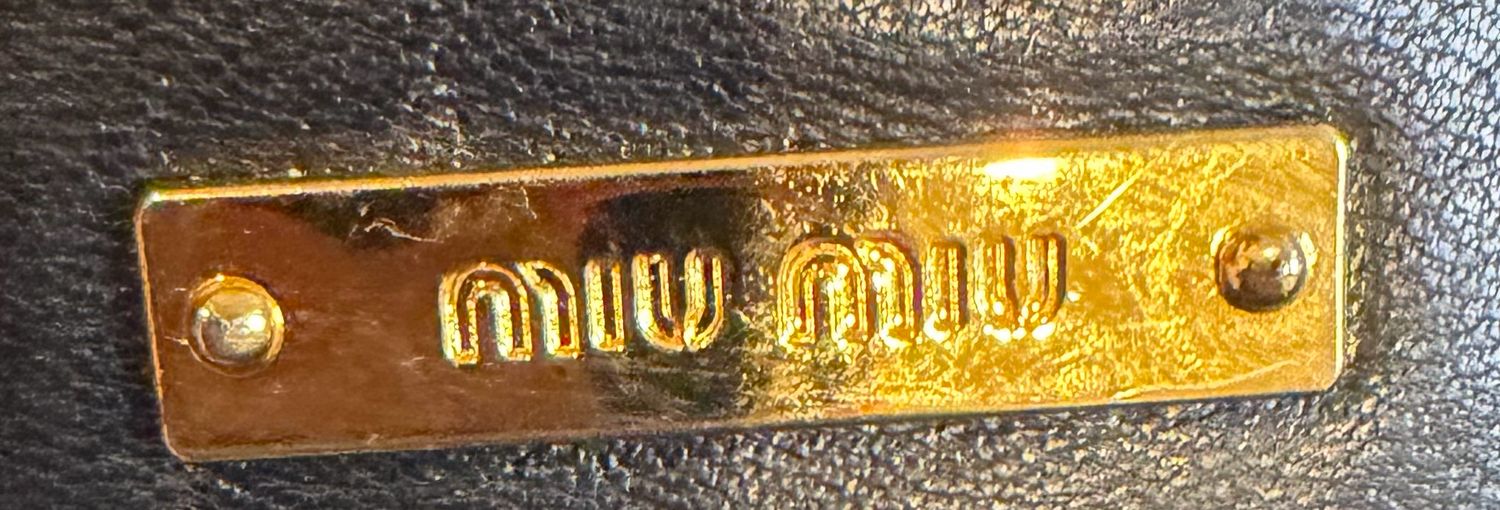 Miu Miu Matelasse Camera Bag Double Zipper Crossbody