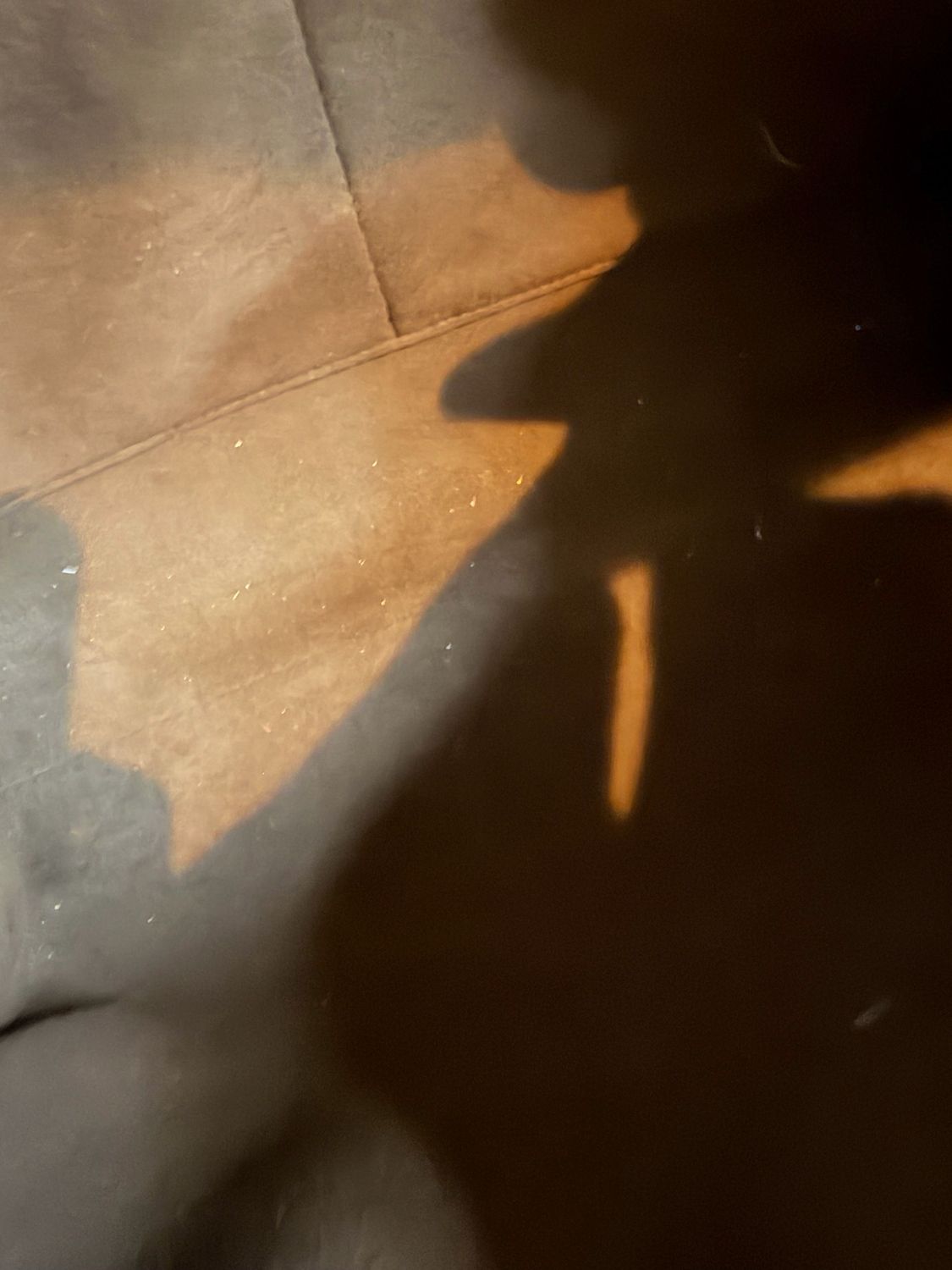 Louis Vuitton Cluny Epi Shoulder Two Way Dune