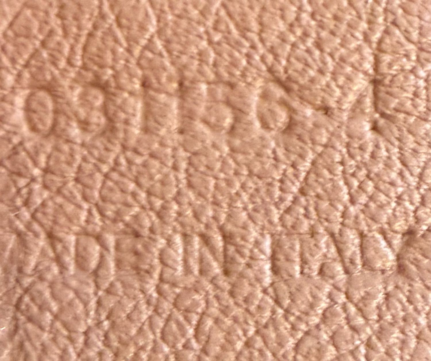 Chloe Marcie Pebbled Leather Medium