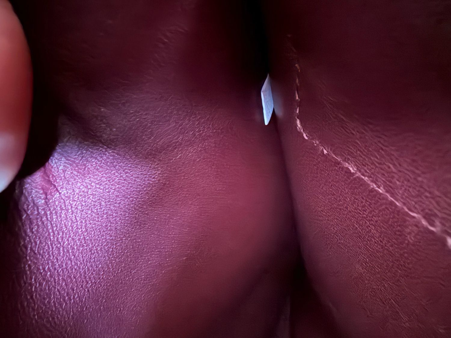 Prada Saffiano Cuir Double Tote 