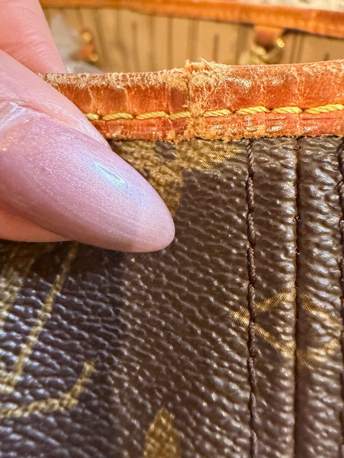 Louis Vuitton Monogram Neverfull Pm Tote