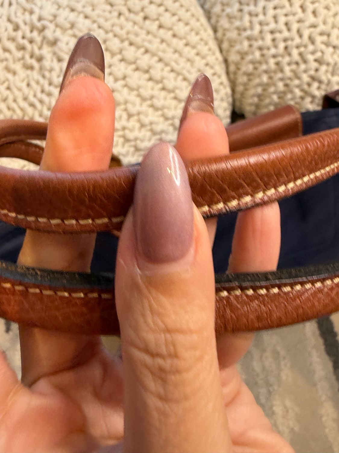 Longchamp Le Pliage Eiffel Tote