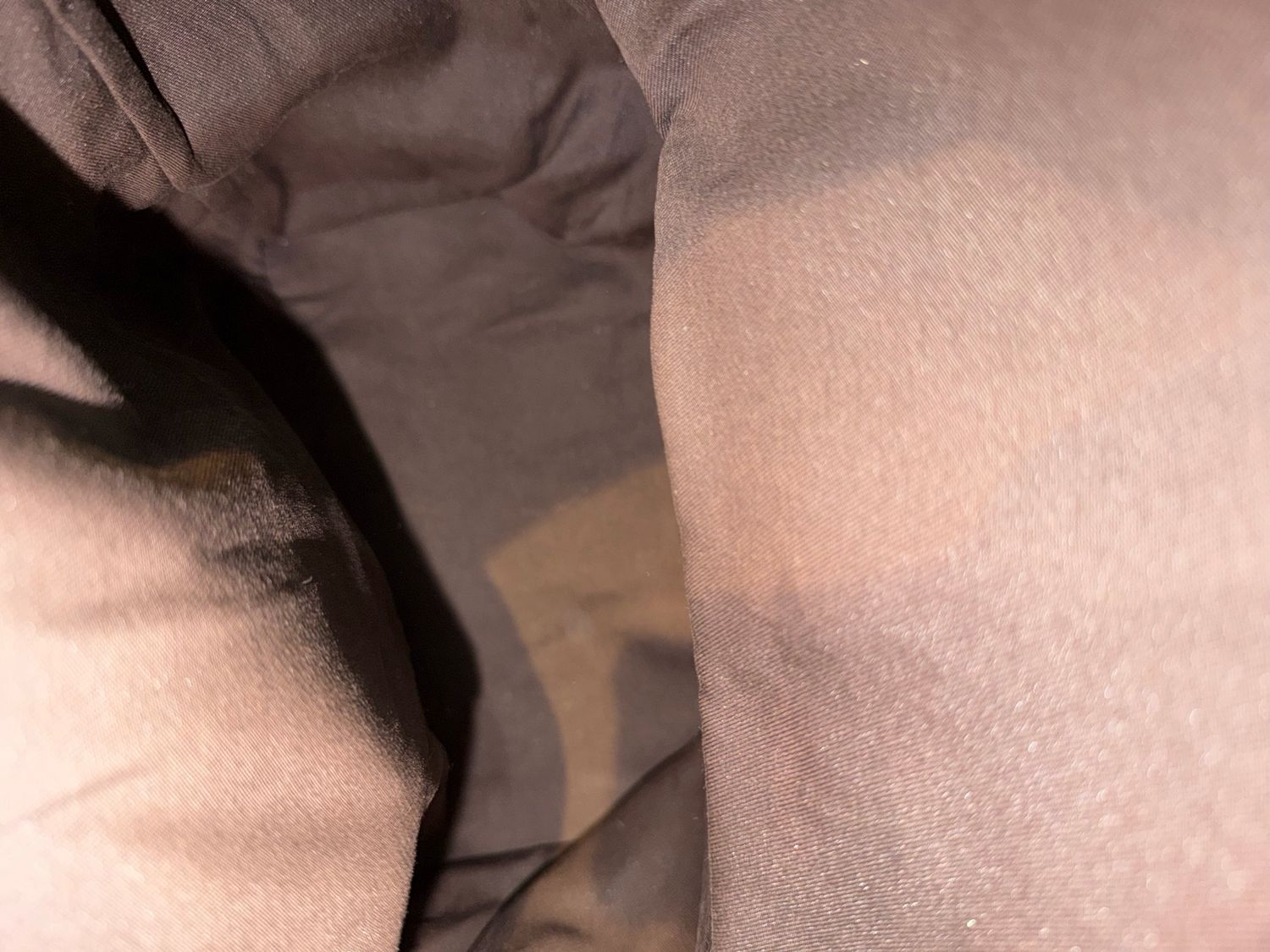 Gucci Backpack Supreme Monogram Coated Canvas