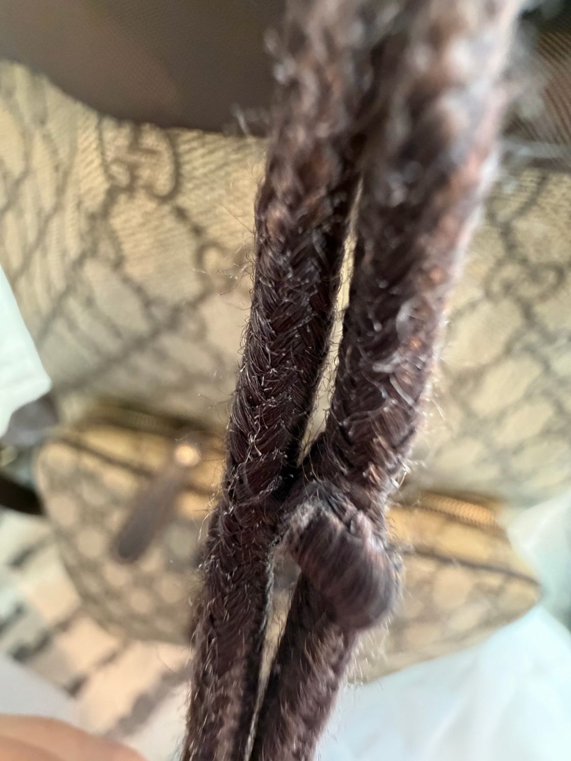 Gucci Backpack Supreme Monogram Coated Canvas