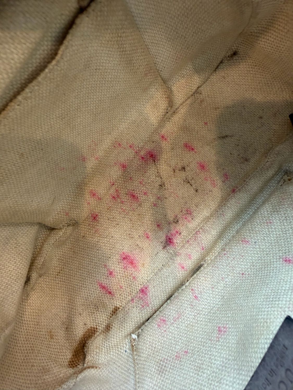 Gucci Soho Disco Camera Bag Nubuck