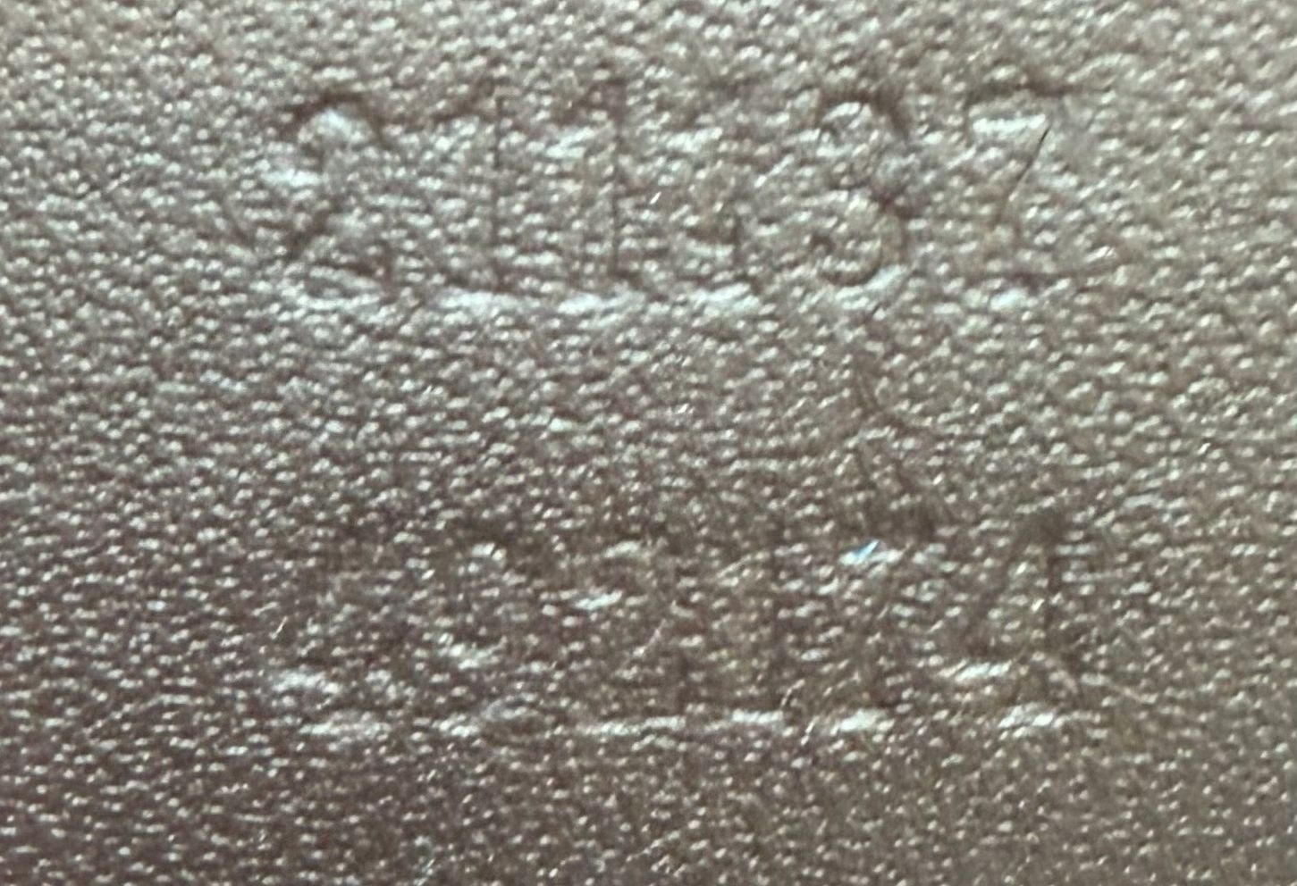 Gucci Supreme Plus Zipper Tote