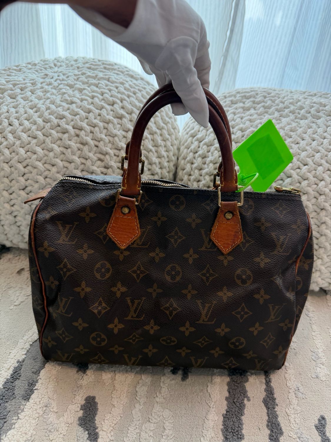 Louis Vuitton Monogram Speedy 30 Project