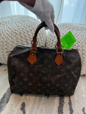 Louis Vuitton Monogram Speedy 30 Project