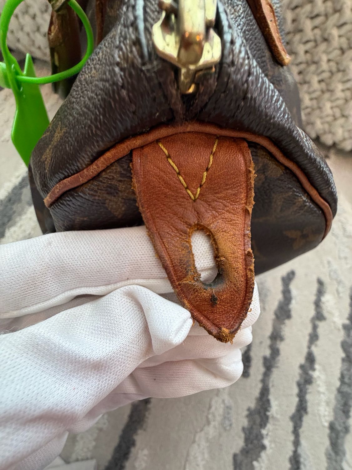 Louis Vuitton Monogram Speedy 30 Project