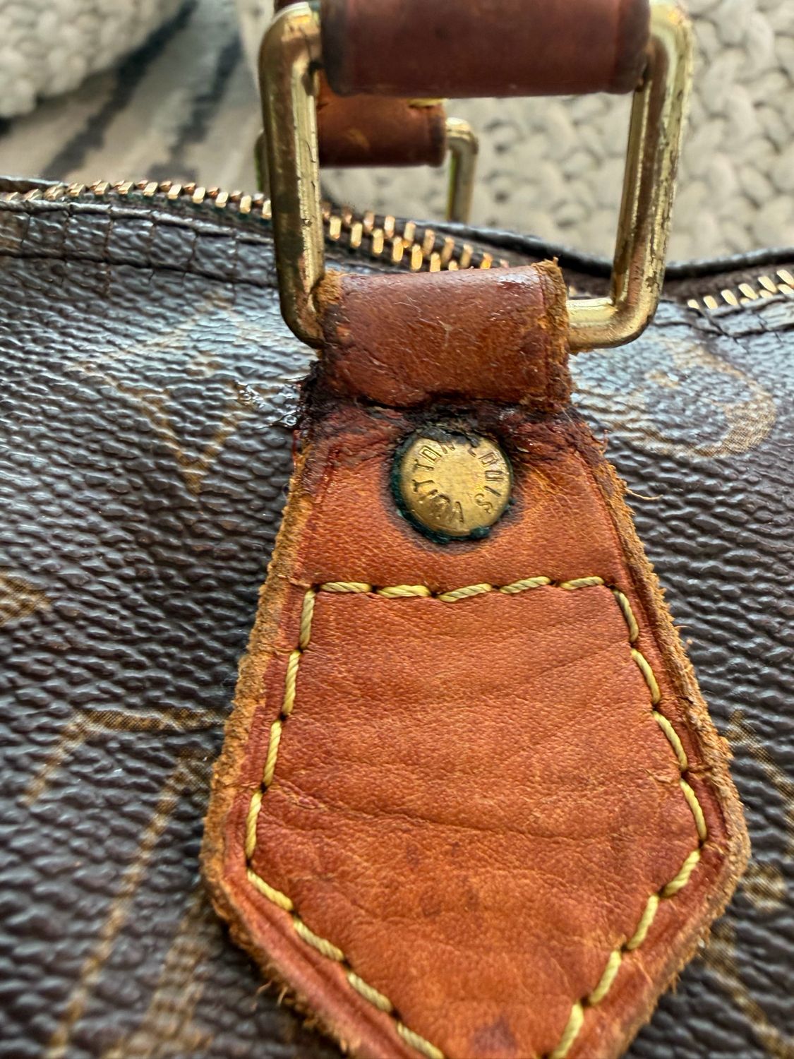 Louis Vuitton Monogram Speedy 30 Project