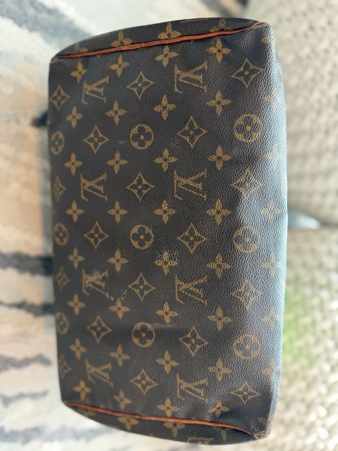 Louis Vuitton Monogram Speedy 30 Project