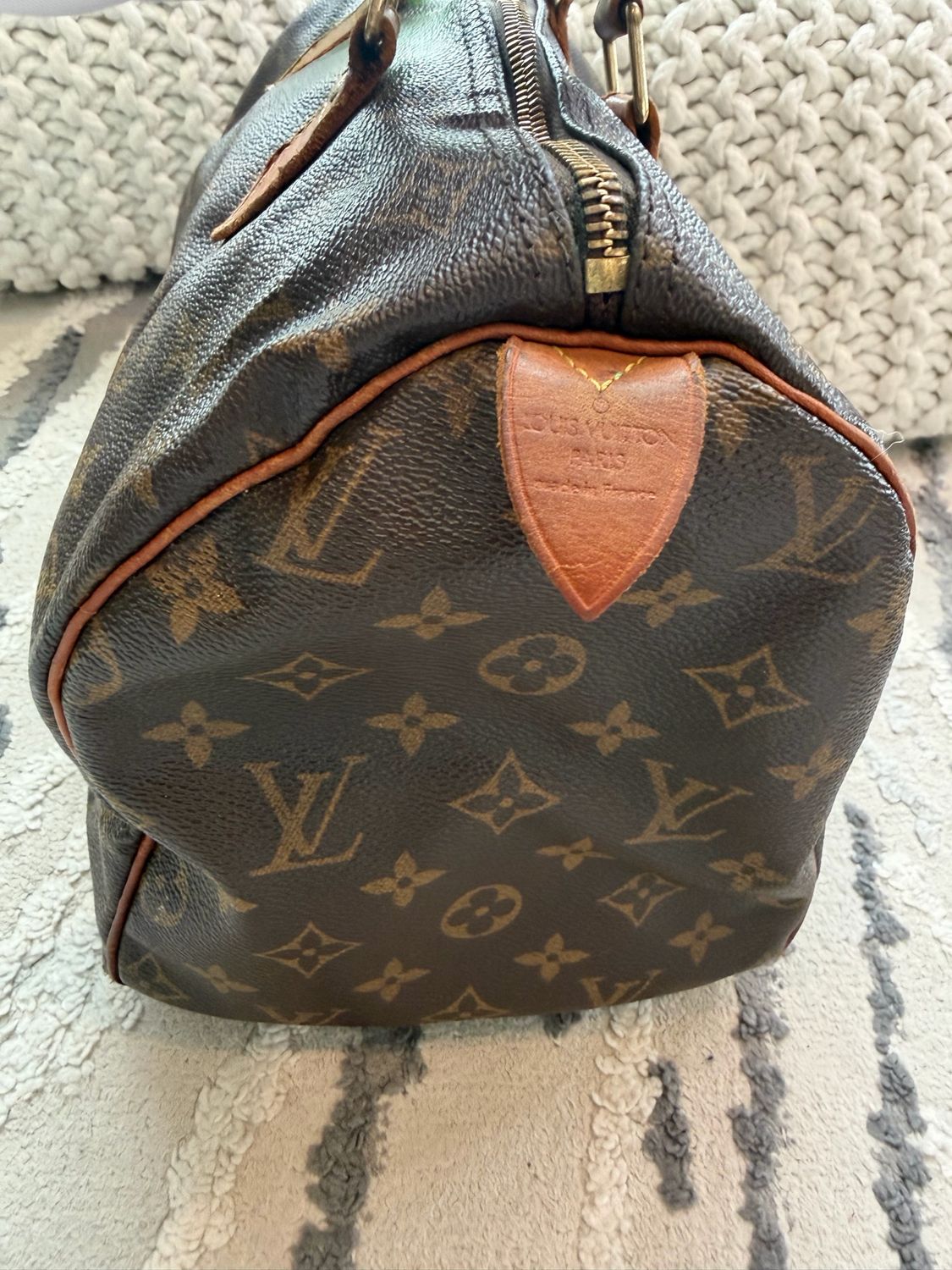 Louis Vuitton Monogram Speedy 30 Project