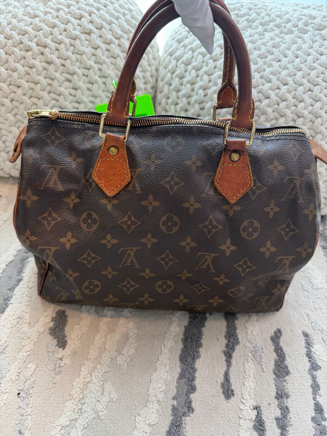 Louis Vuitton Monogram Speedy 30 Project