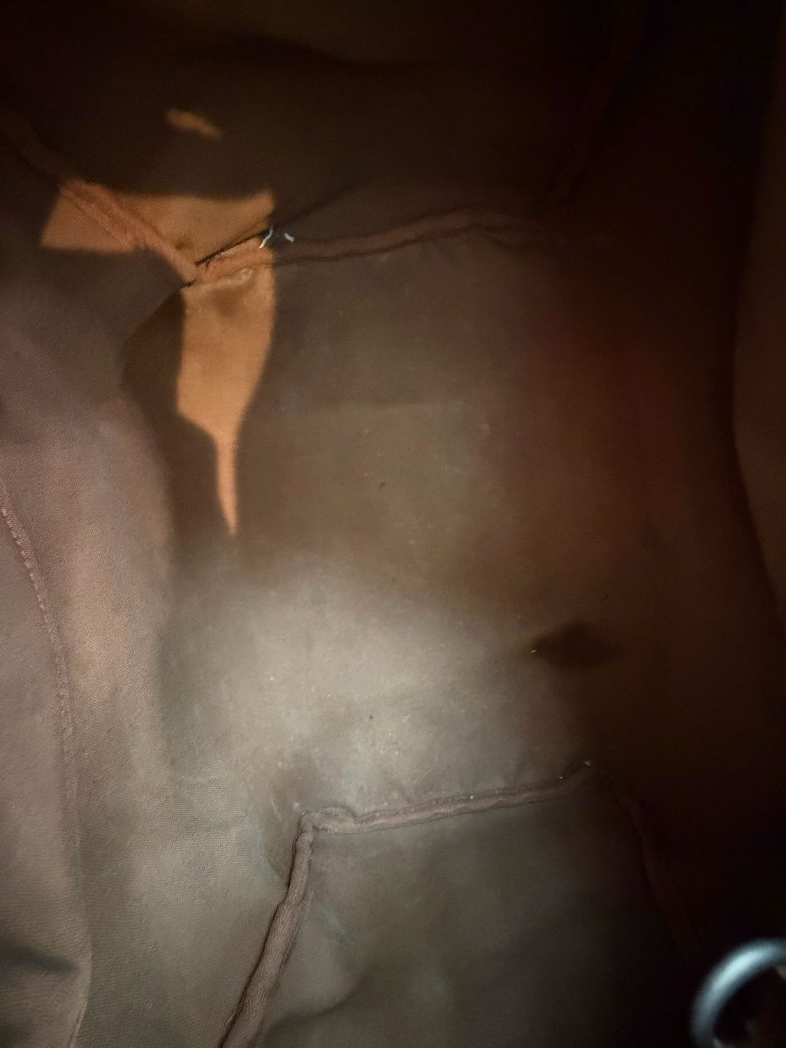 Louis Vuitton Monogram Speedy 30 Project