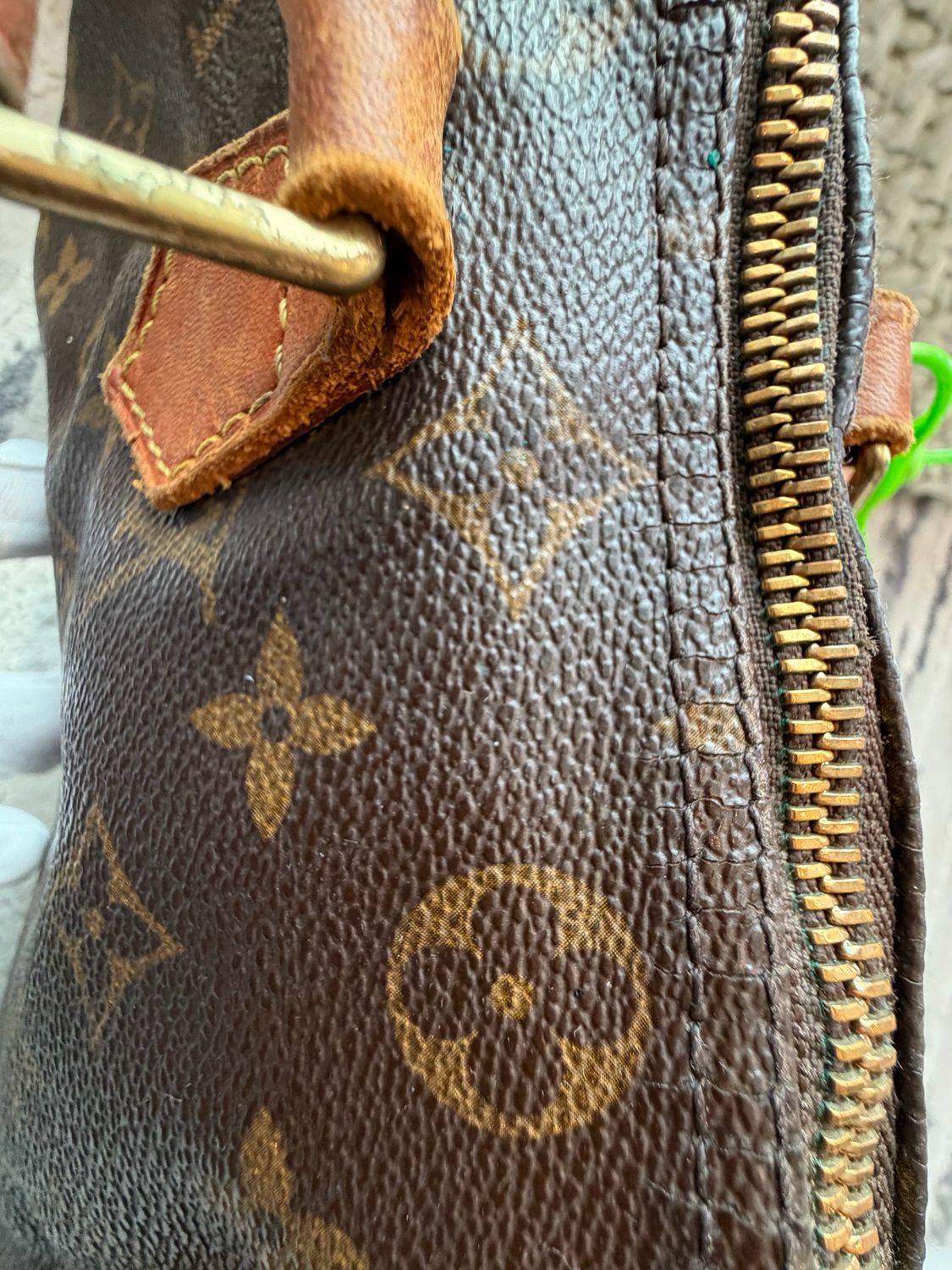 Louis Vuitton Monogram Speedy 30 Project