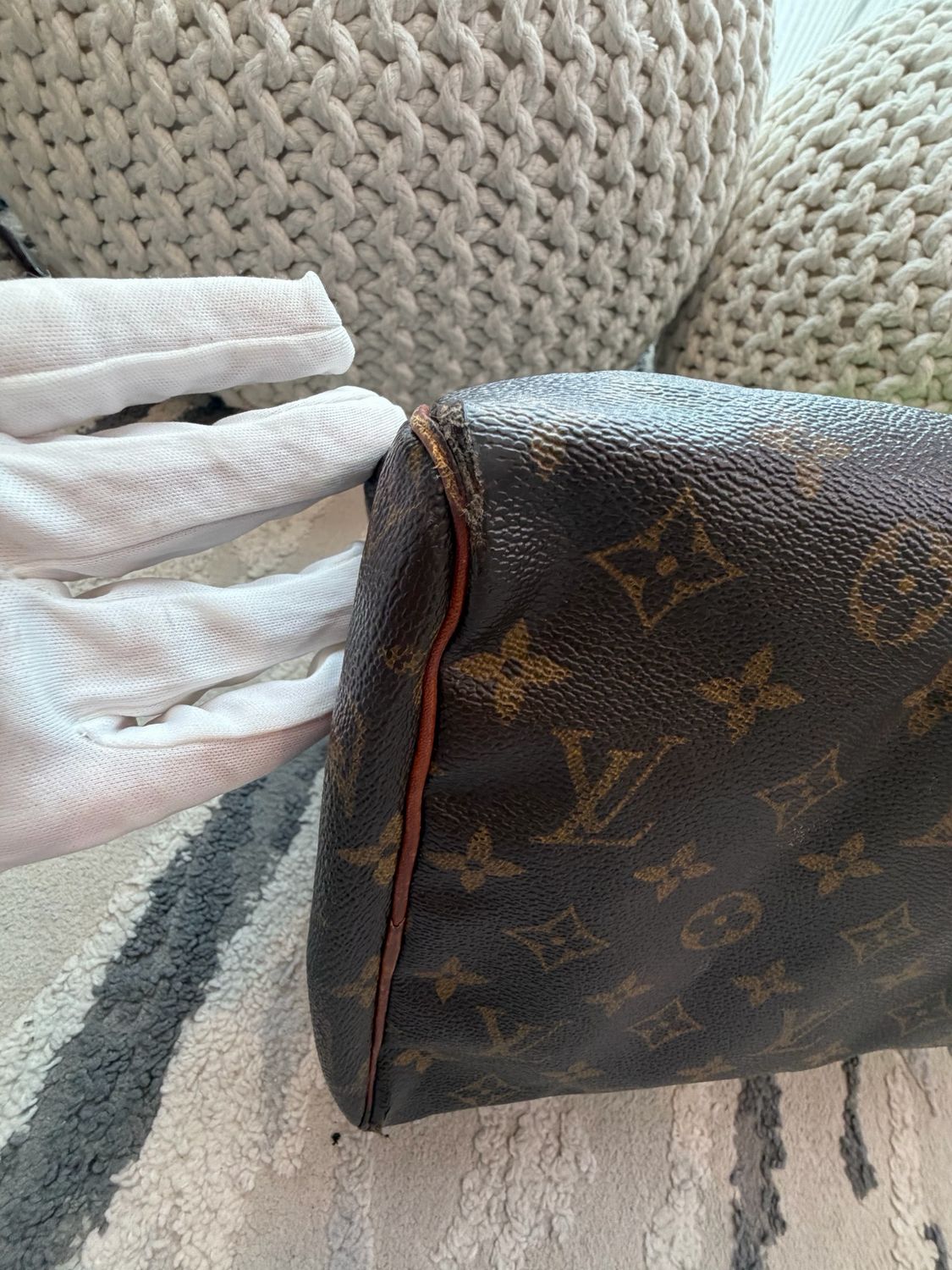 Louis Vuitton Monogram Speedy 30 Project