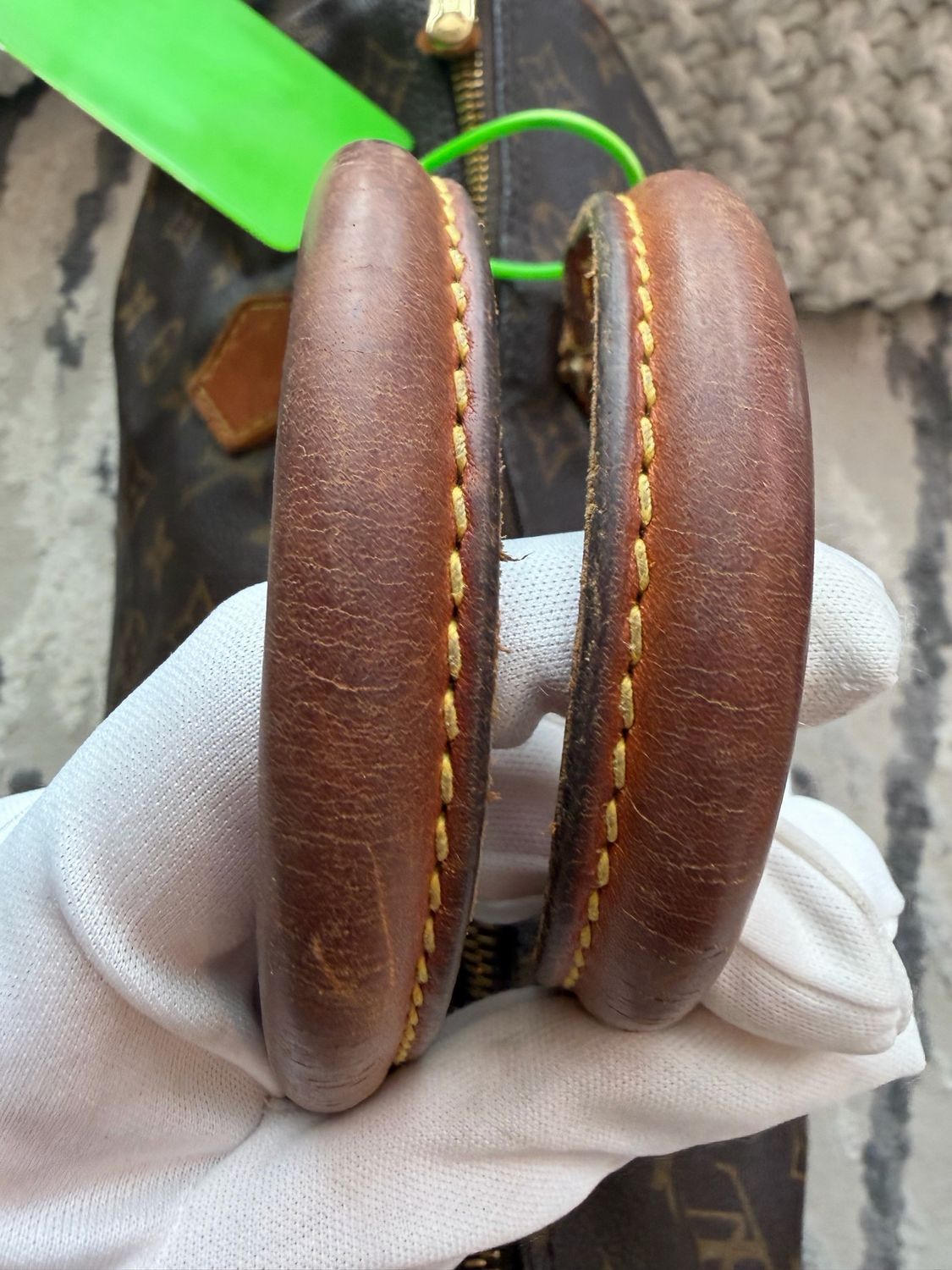 Louis Vuitton Monogram Speedy 30 Project