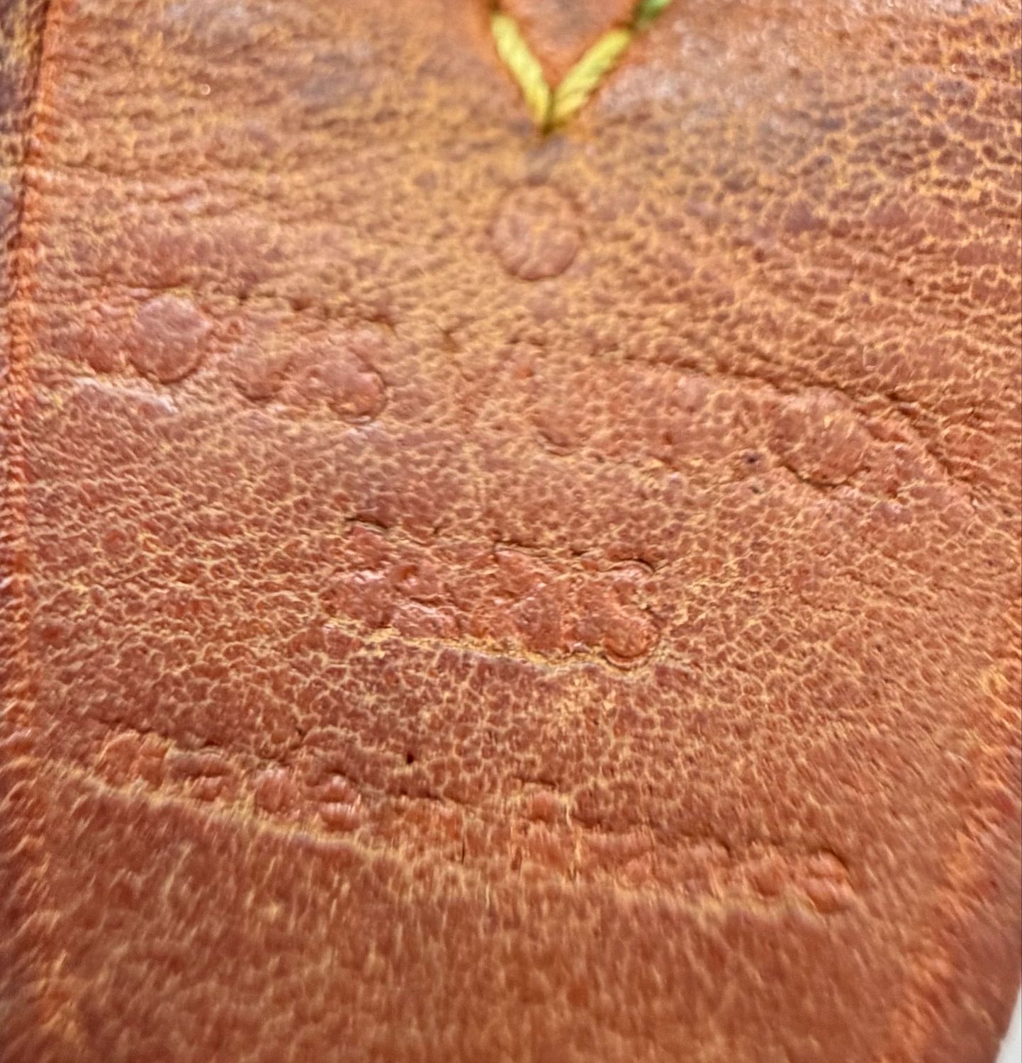 Louis Vuitton Monogram Speedy 30 Project