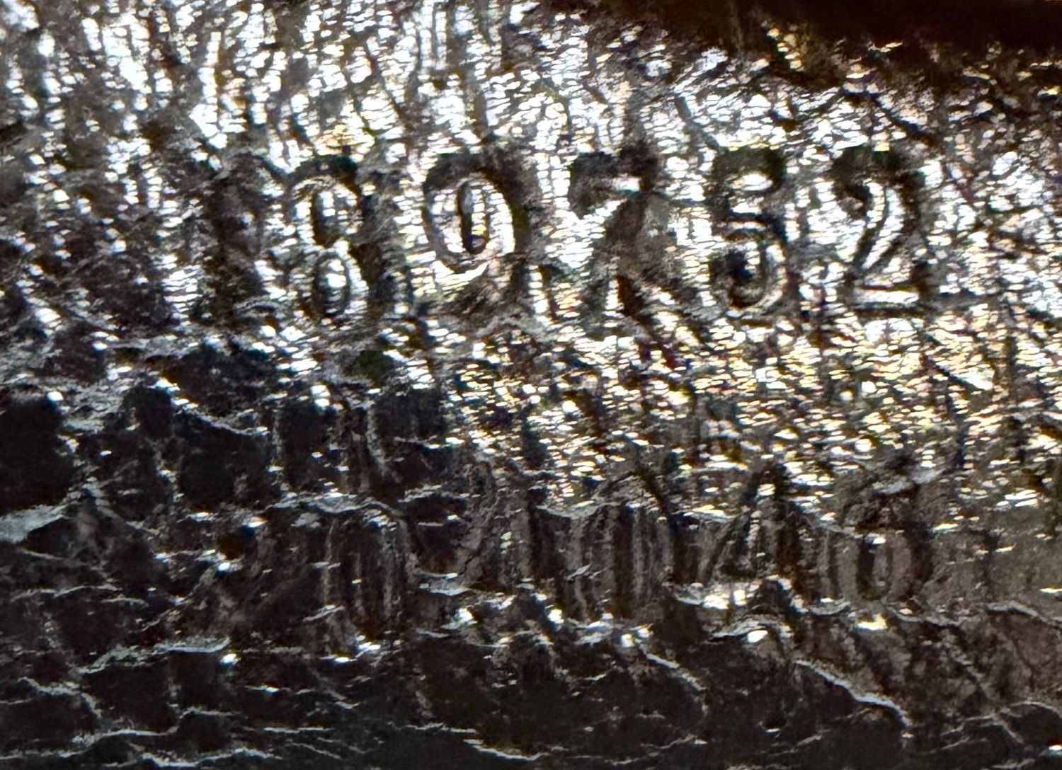 Gucci Monogram Canvas Halfmoon Web Strap Sling