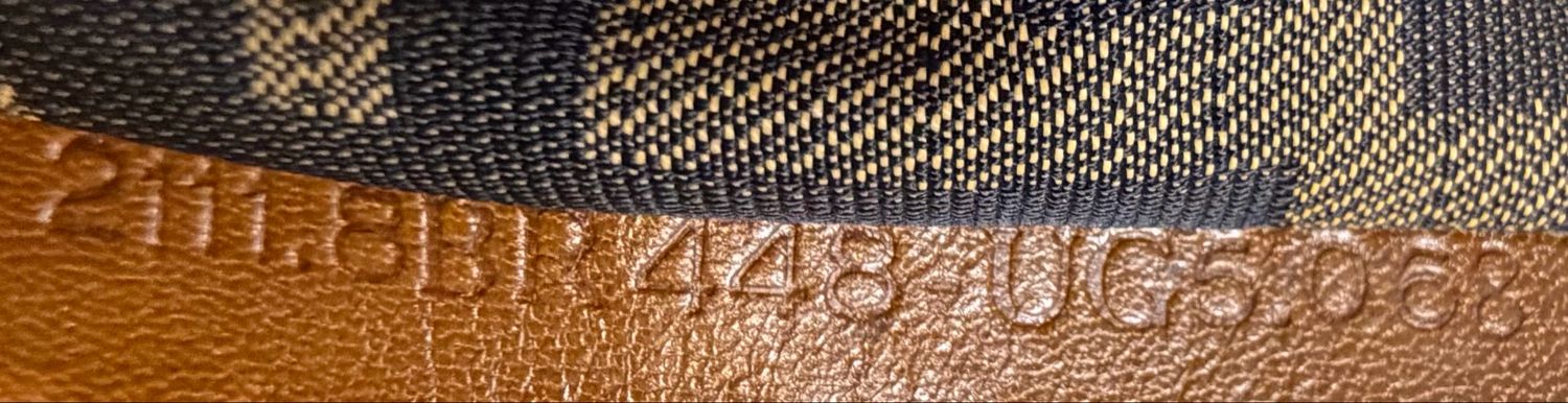 Fendi Chef Hobo Multicolor Canvas 