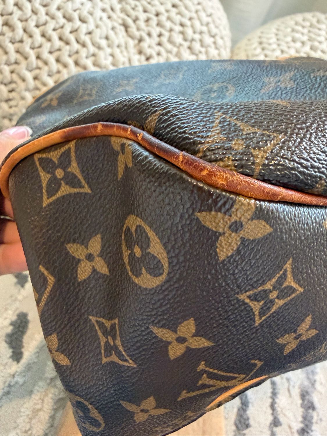 Louis Vuitton Monogram Delightful Pm Hobo Shoulder