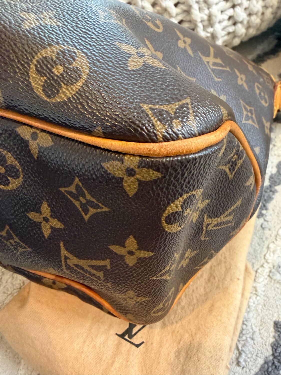 Louis Vuitton Monogram Delightful Pm Hobo Shoulder