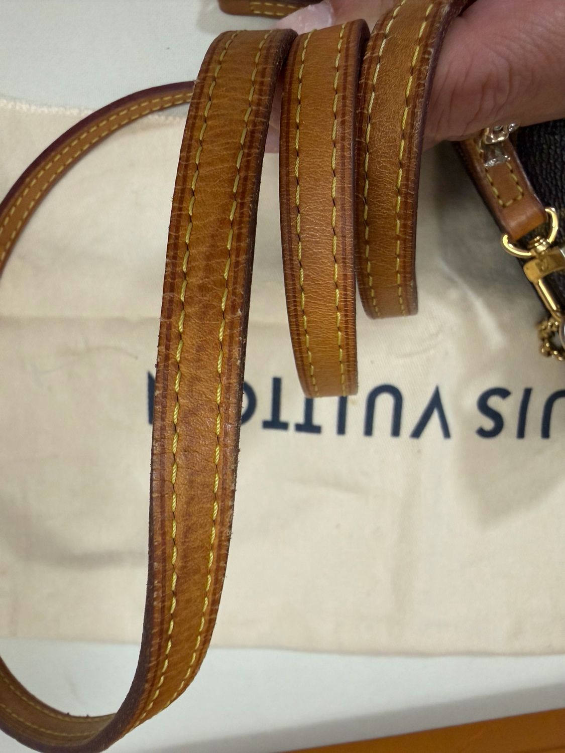 Louis Vuitton Monogram Eva Clutch Crossbody