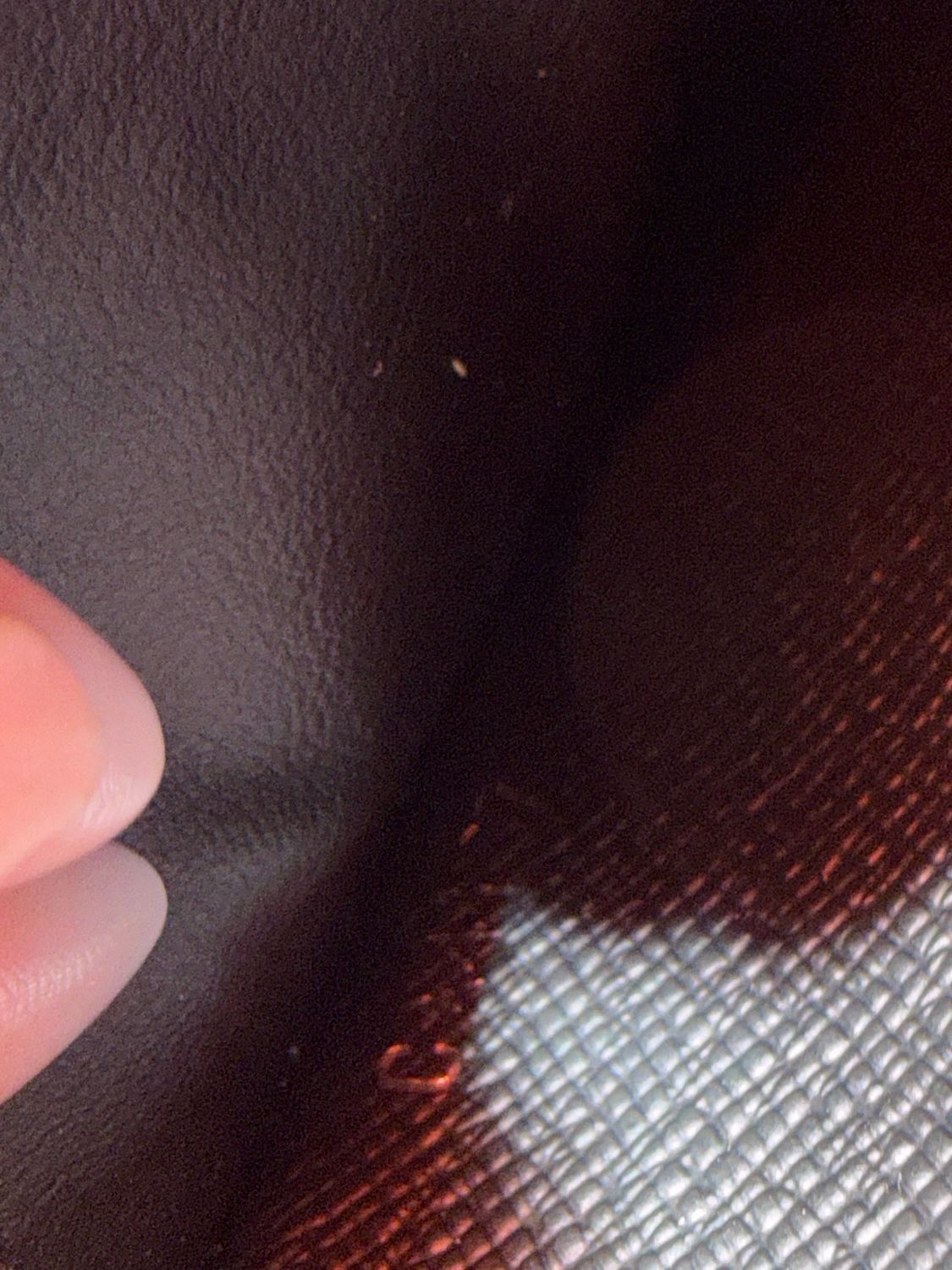 Louis Vuitton Damier Graphite Zippy XL