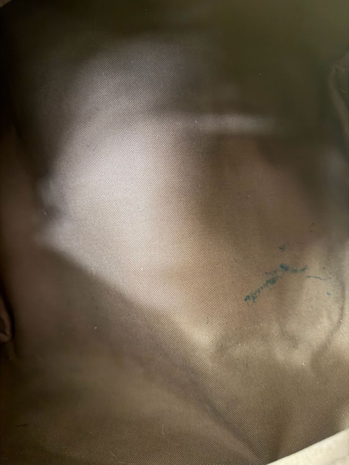 Louis Vuitton Speedy 30 Monogram Satchel Project