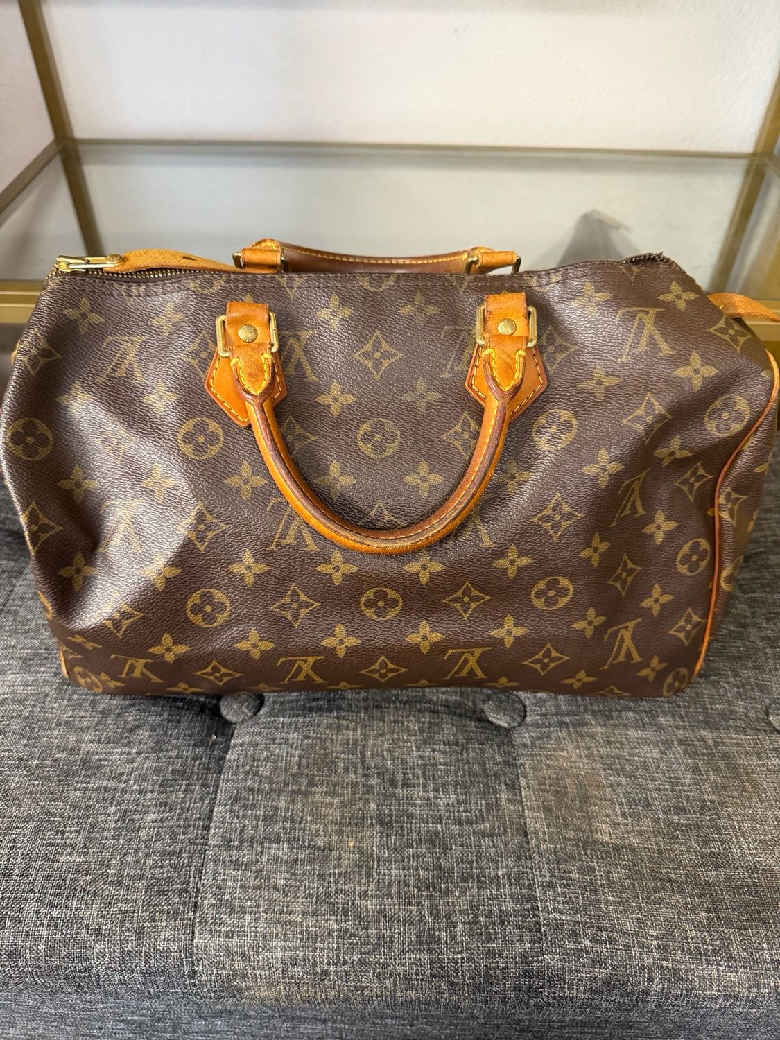 Louis Vuitton Speedy 30 Monogram Satchel Project