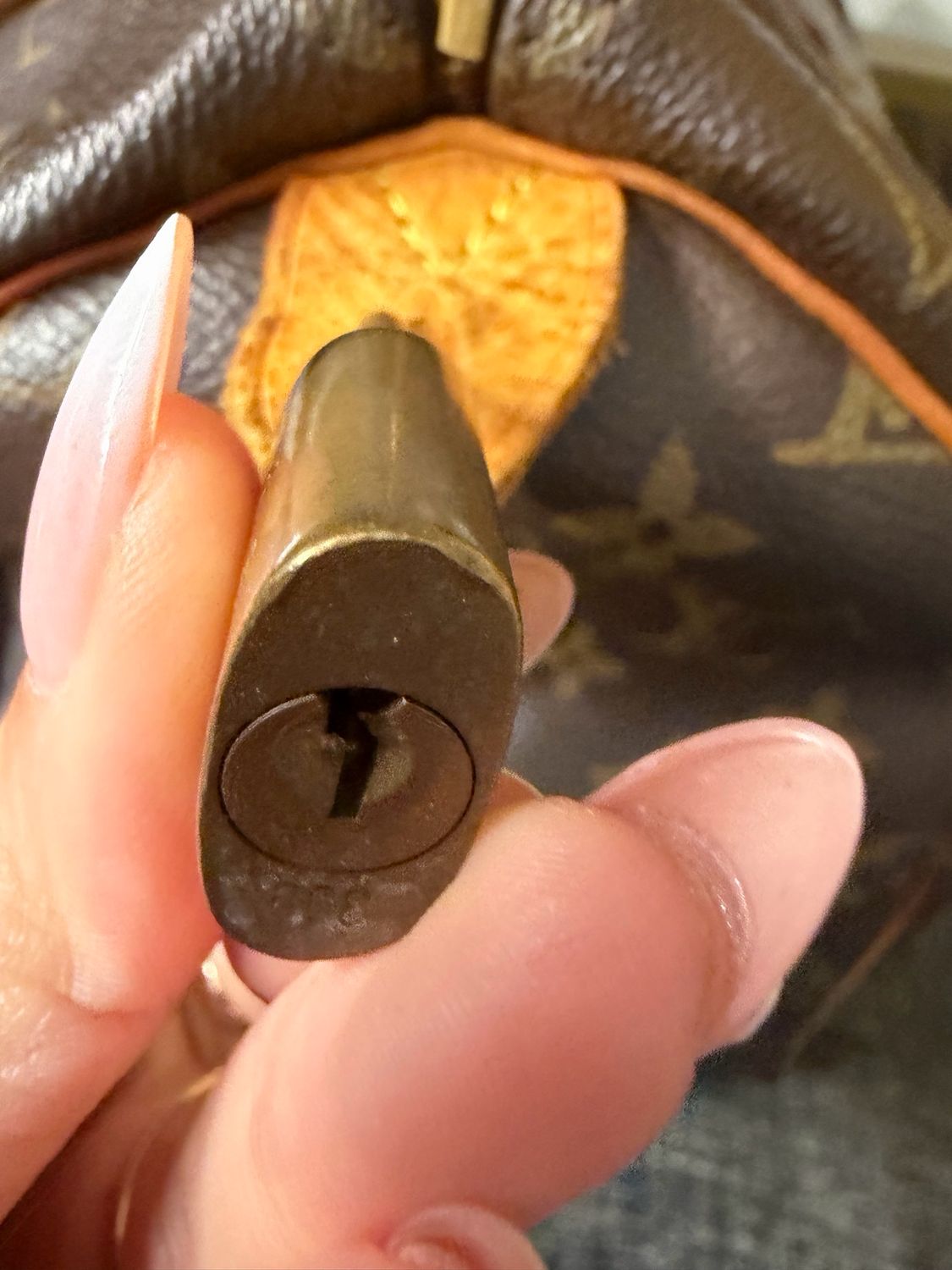 Louis Vuitton Speedy 30 Monogram Satchel Project