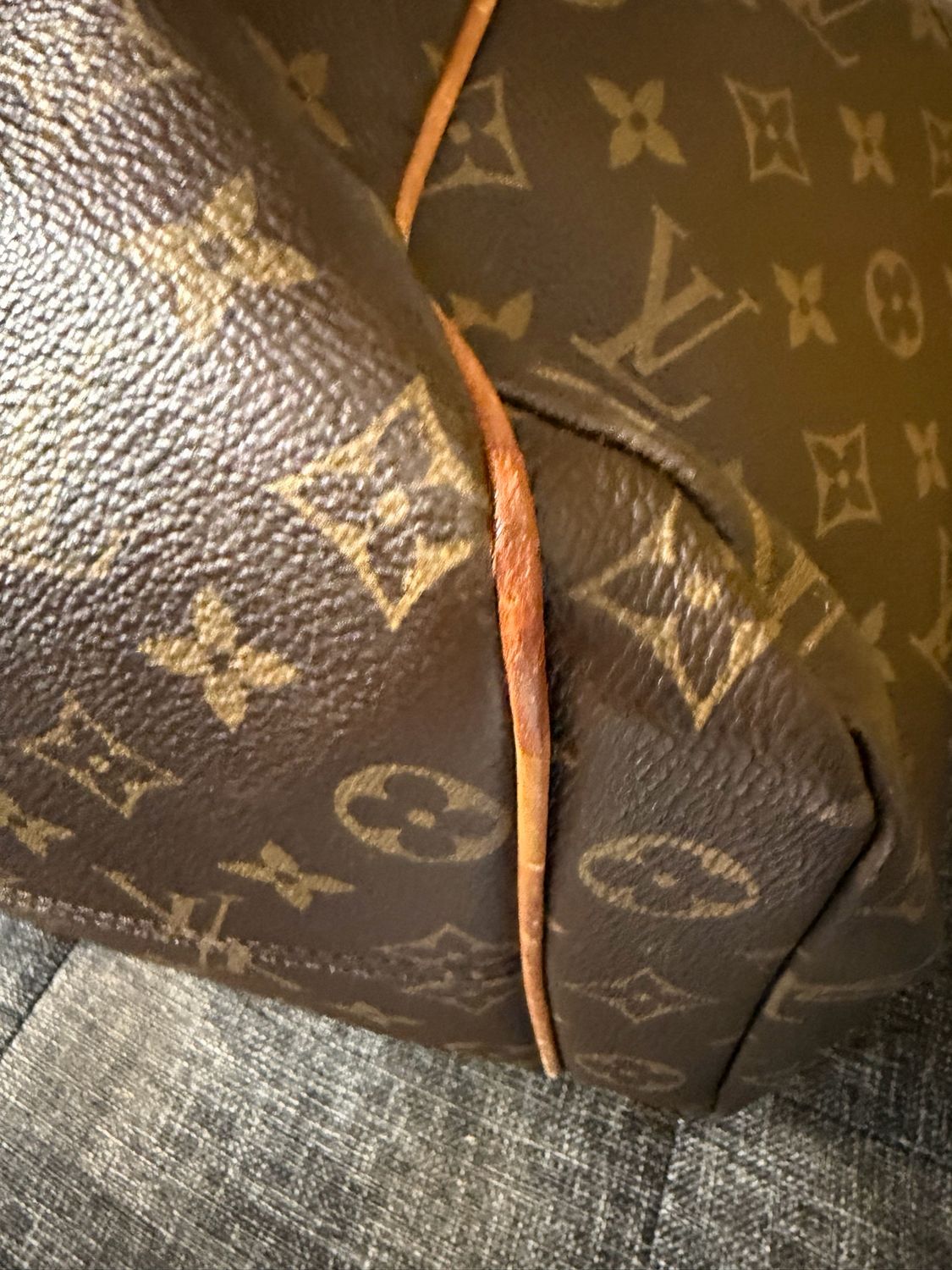 Louis Vuitton Monogram Totally Mm Tote Project