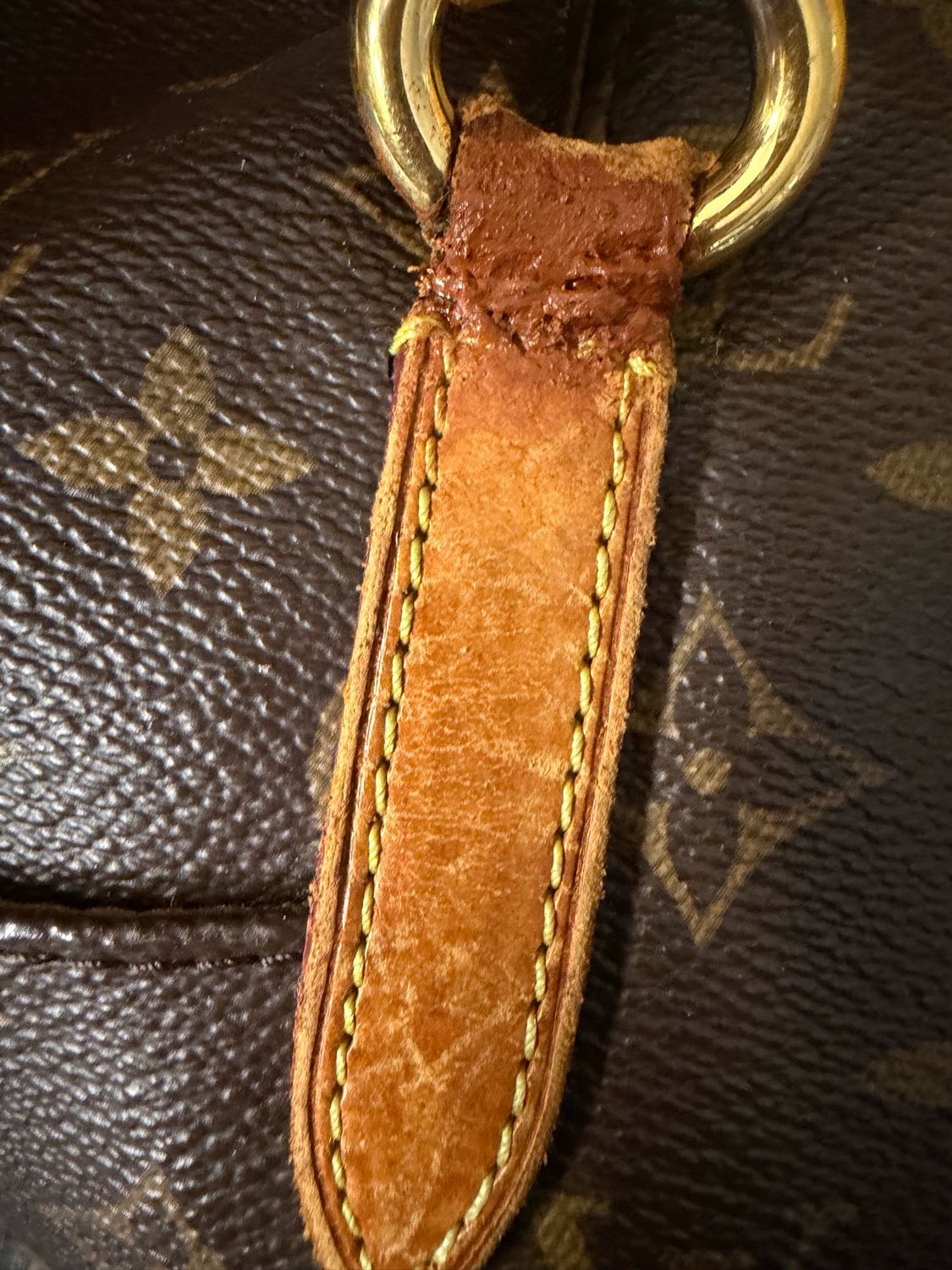 Louis Vuitton Monogram Totally Mm Tote Project
