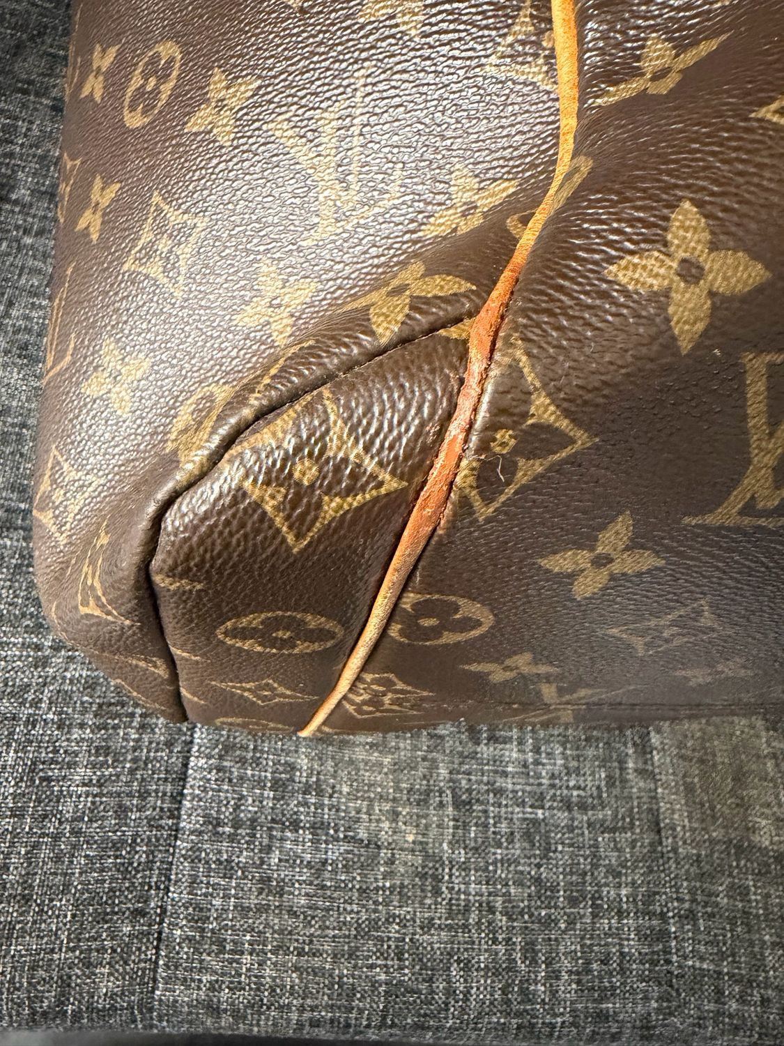 Louis Vuitton Monogram Totally Mm Tote Project