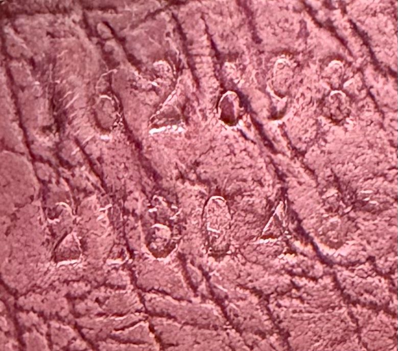 Gucci Joliceur Vertical Tote Monogram Canvas in Pink