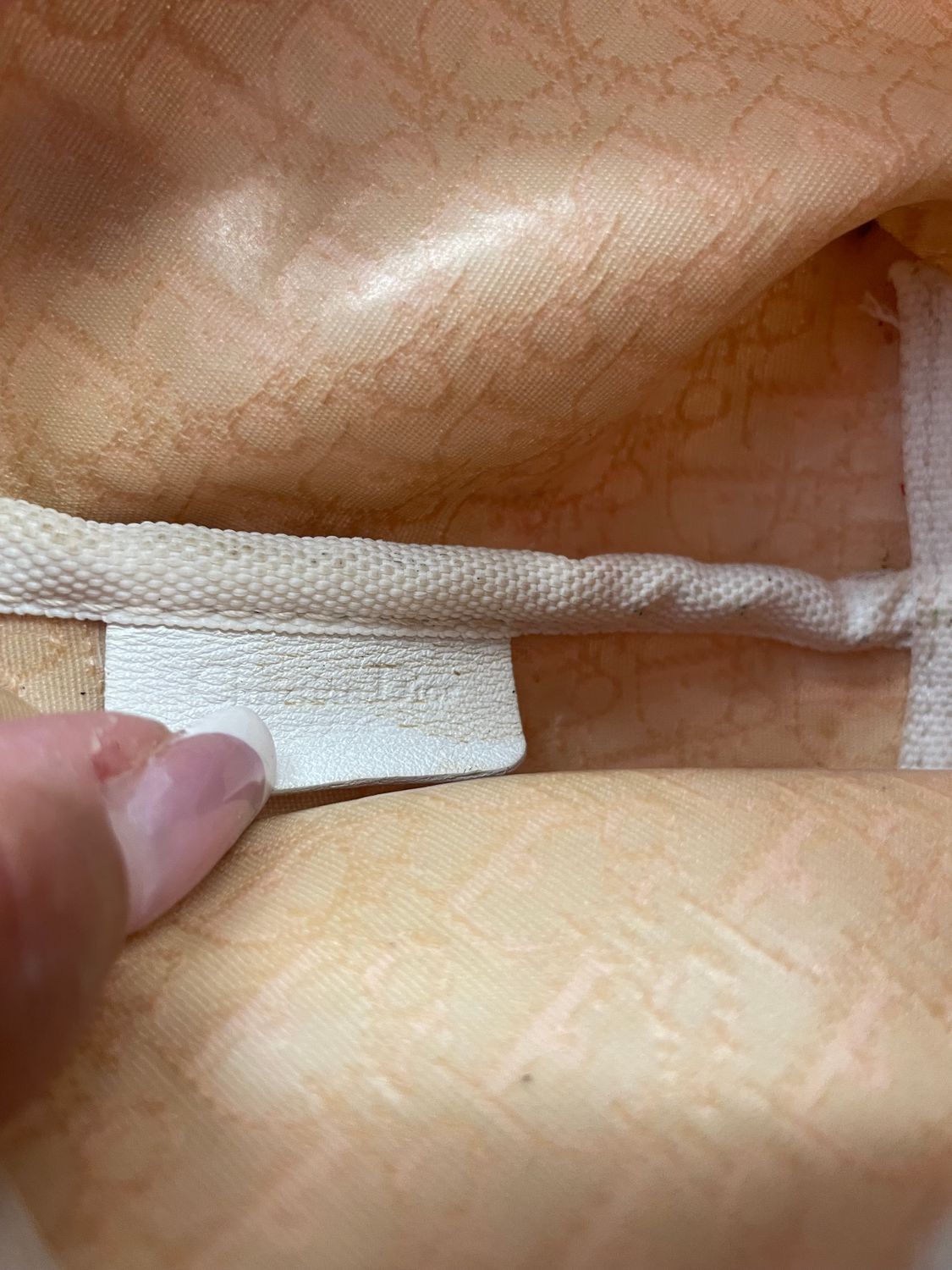 Christian Dior Trotter Pochette Hobo Shoulder in Pink